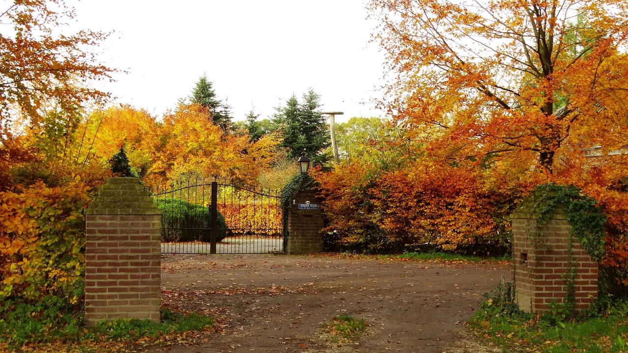 Herfst door Annie Hendriks1