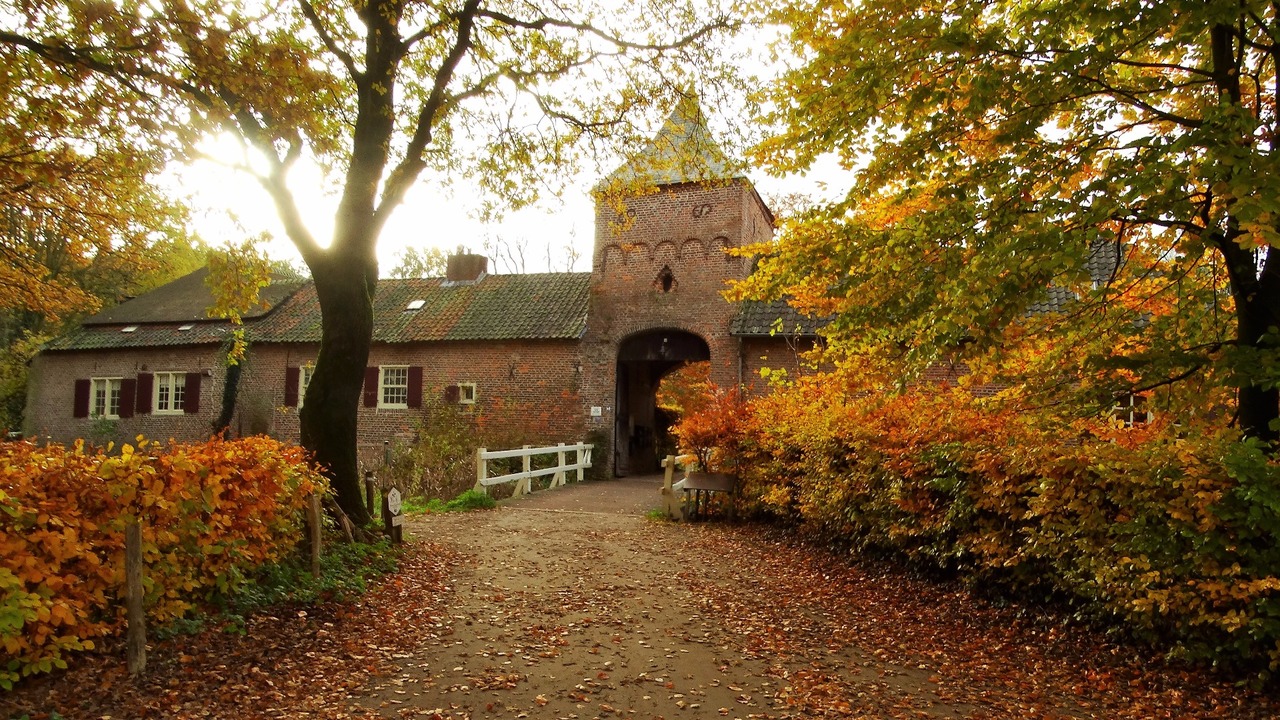 Herfst door Annie Hendriks2