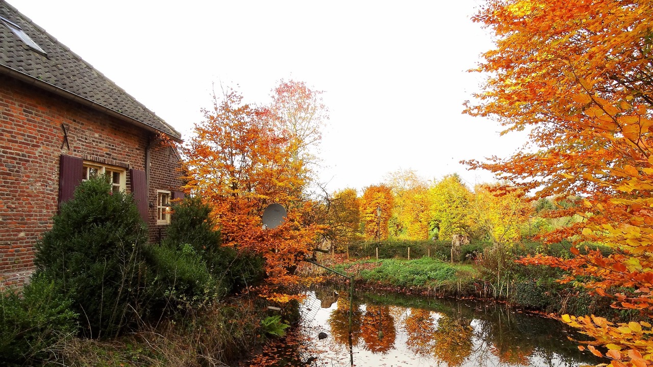 Herfst door Annie Hendriks3