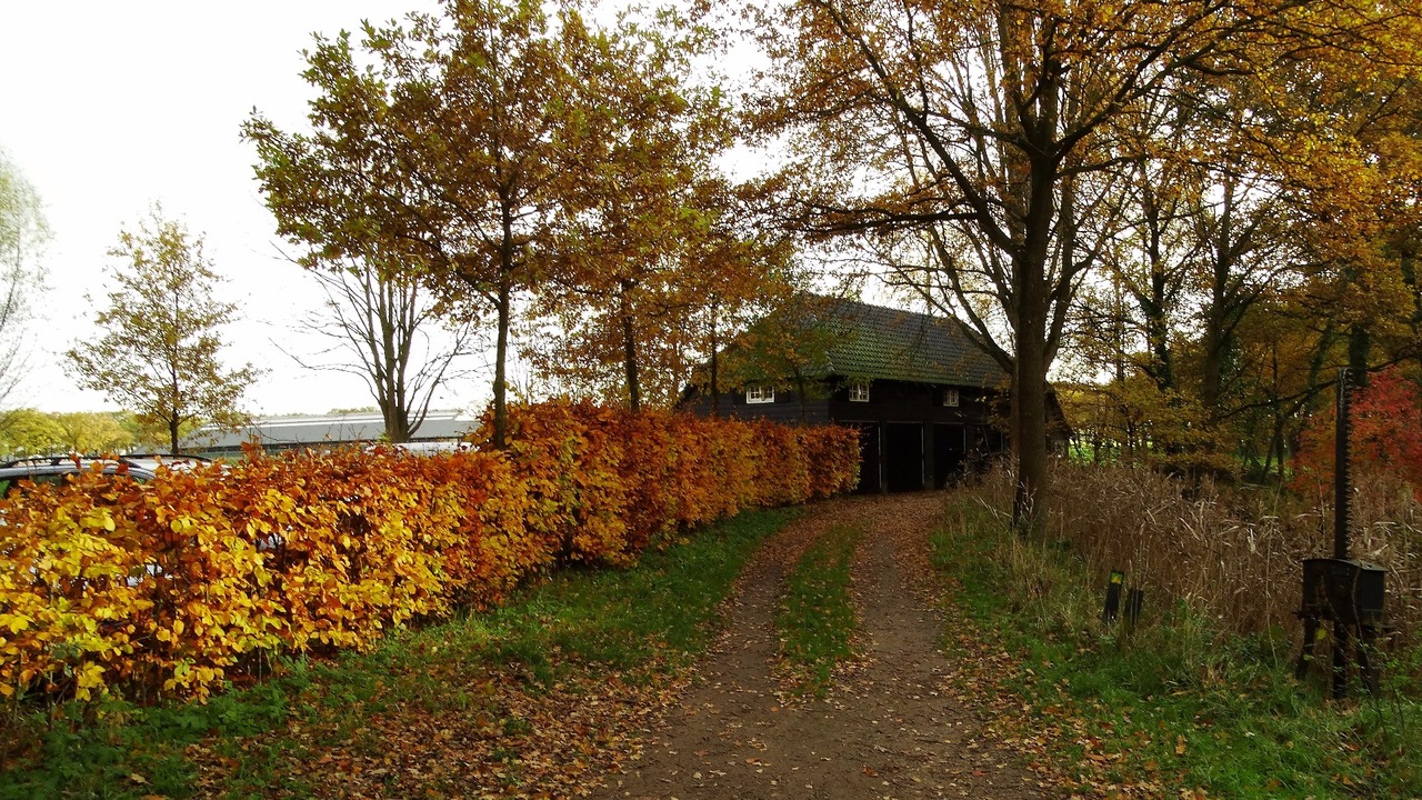 Herfst door Annie Hendriks5