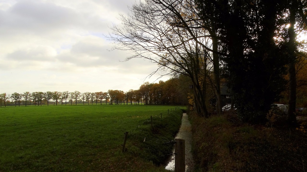 Herfst door Annie Hendriks6