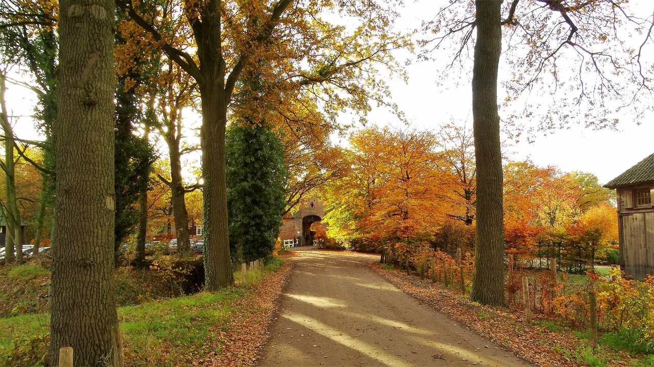 Herfst door Annie Hendriks7