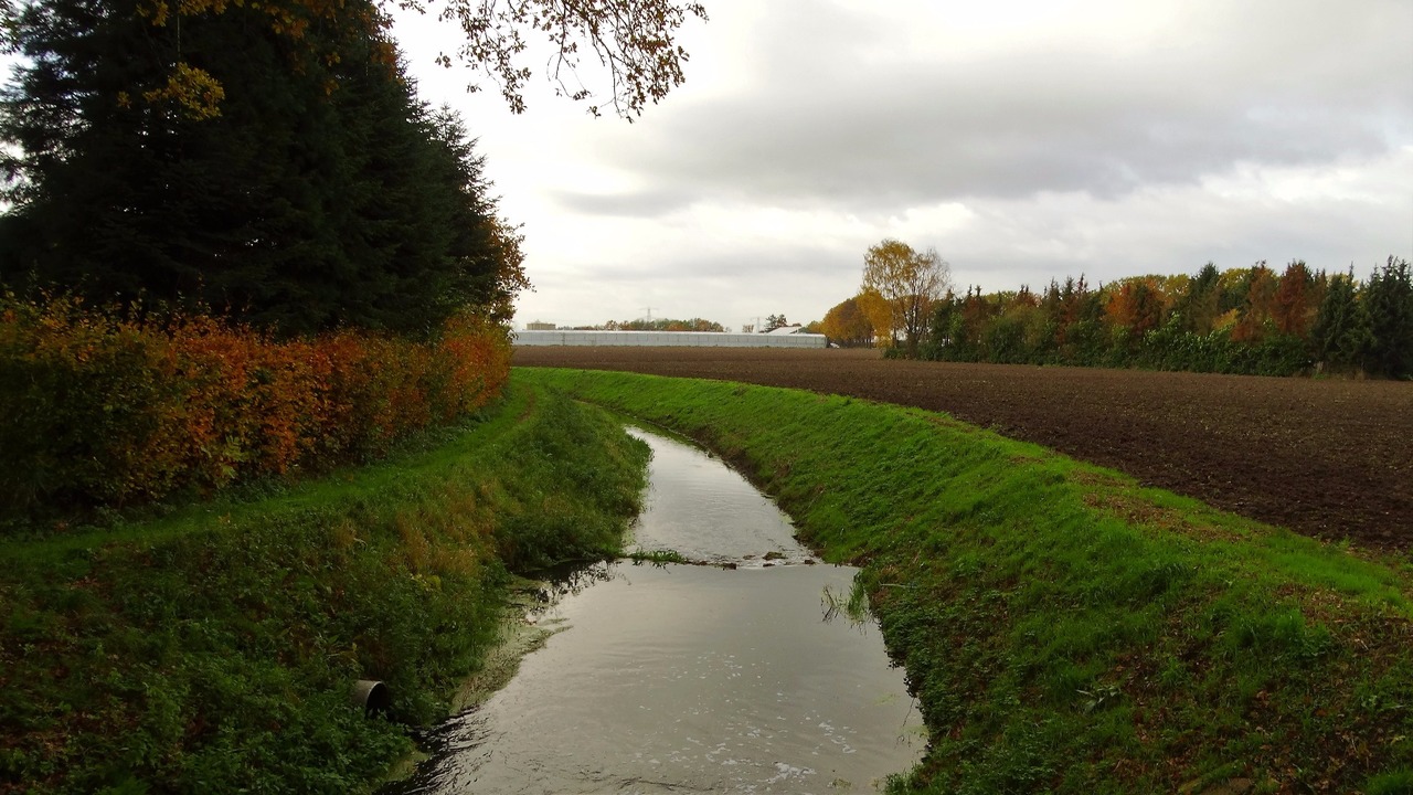 Herfst door Annie Hendriks8