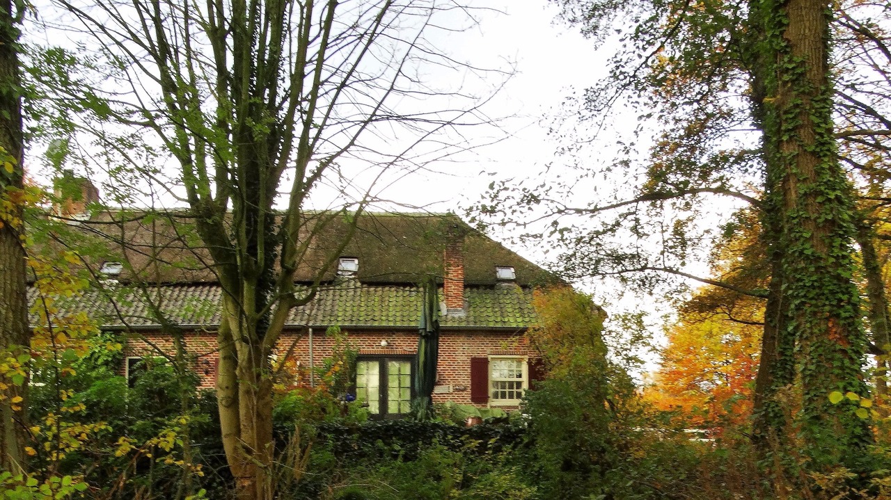 Herfst door Annie Hendriks13