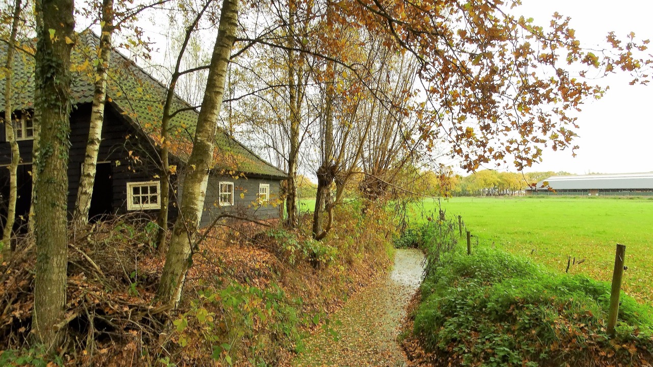 Herfst door Annie Hendriks14