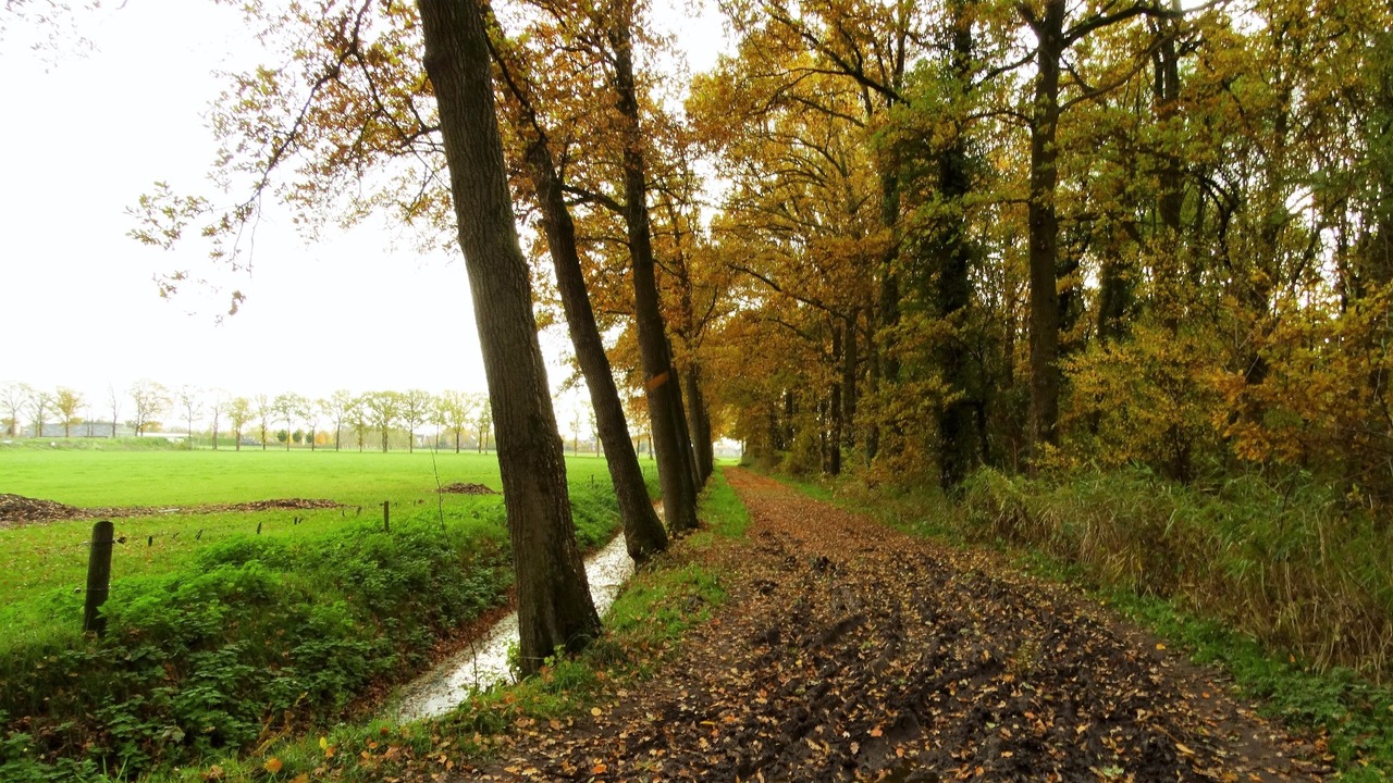 Herfst door Annie Hendriks15