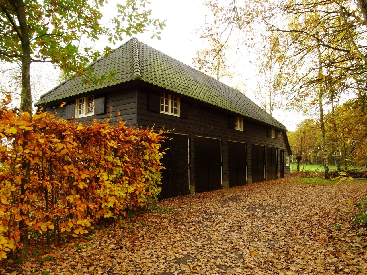 Herfst door Annie Hendriks16