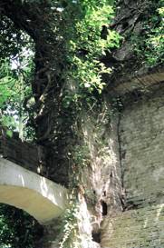 bovenbalk