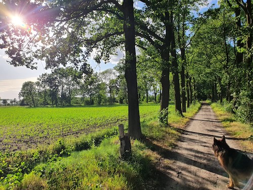 ontstaan sbka