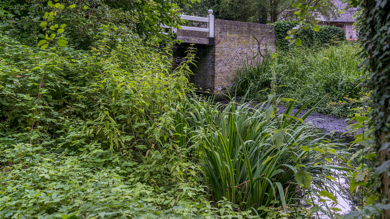 Rondleiding 20192