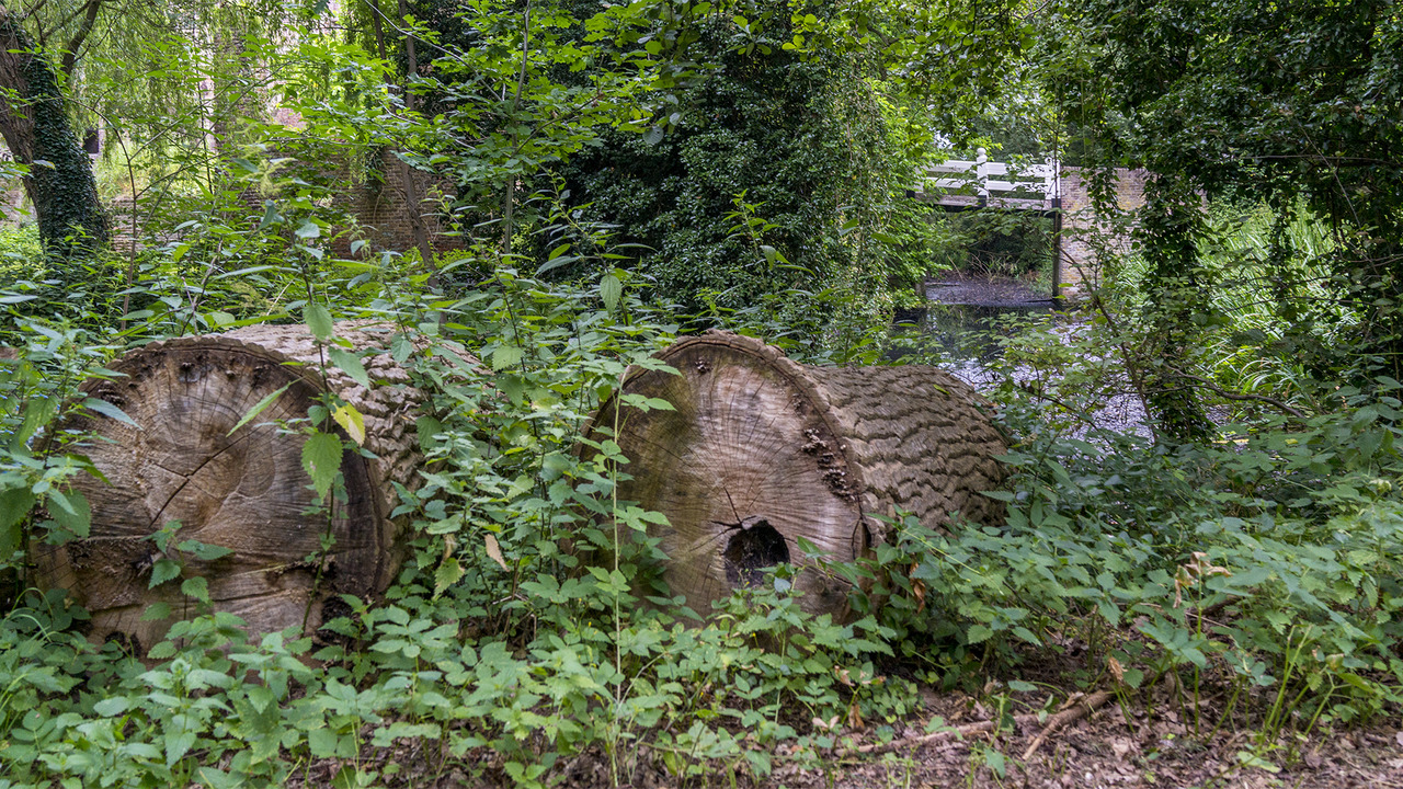 Rondleiding 20195