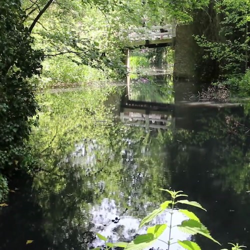./img/water.jpg