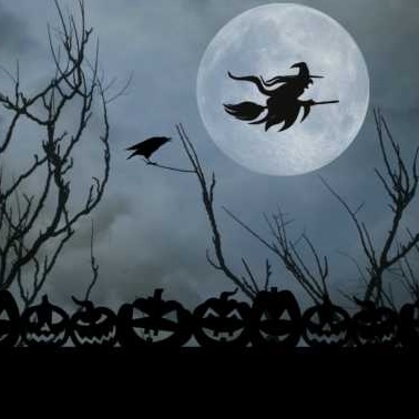 ./img/halloween-witch-full-moon-vierk.jpg